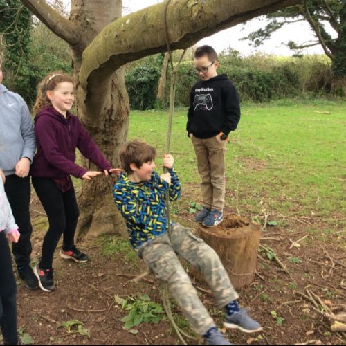 Rope Swing creation